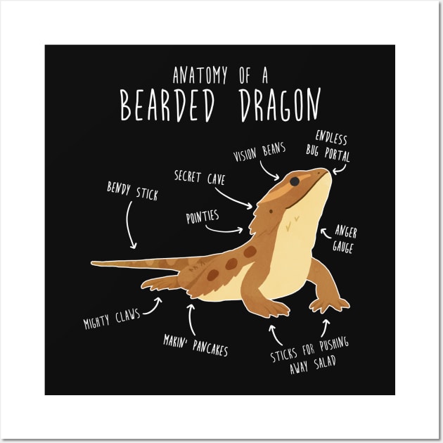 Anatomy of a Bearded Dragon Wall Art by Psitta